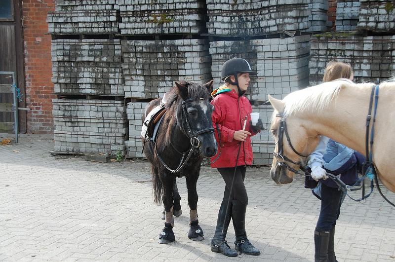 Tagesausritt Oktober 2008069.JPG